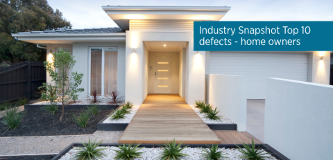 Industry Snapshot Top 10 defects: Home Owner series  - Painting defects
